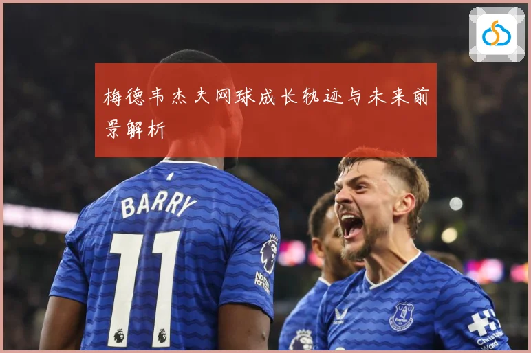 梅德韦杰夫网球成长轨迹与未来前景解析